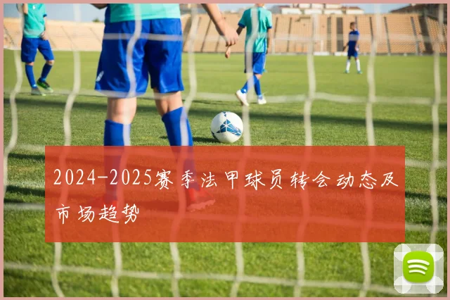 2024-2025赛季法甲球员转会动态及市场趋势
