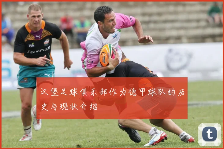 汉堡足球俱乐部作为德甲球队的历史与现状介绍