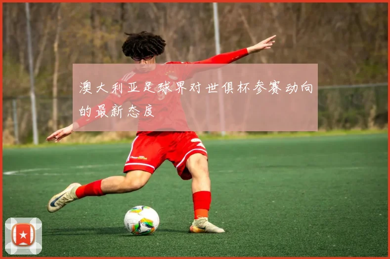 澳大利亚足球界对世俱杯参赛动向的最新态度