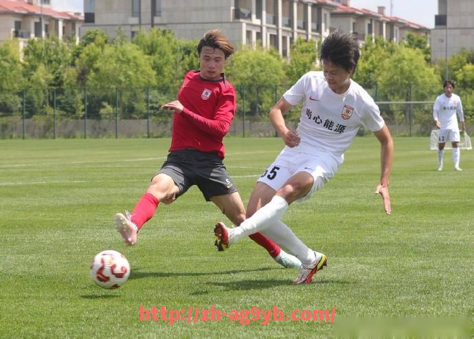 ag9游会-法甲外援对赛季表现的深远影响及案例分析